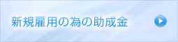 新規雇用の為の助成金